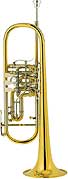 Cerveny - CTR 701R Bb-Trumpet
