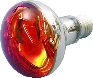 Omnilux - R80 Lamp E27 Red