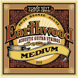 Ernie Ball - 2002 Earthwood Bronze
