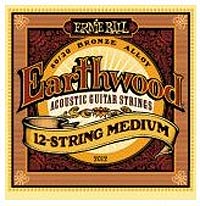 Ernie Ball - 2012 Earthwood Bronze
