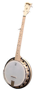 Deering - Goodtime Two Banjo