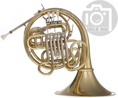 Hans Hoyer - K10GA Double Horn