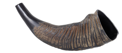 Thomann - Water Buffalo Horn