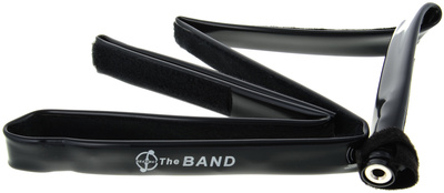 Headway - The Band Double Bass Pickup