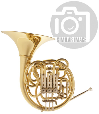 Dieter Otto - 201 MS, F/Bb Double Horn