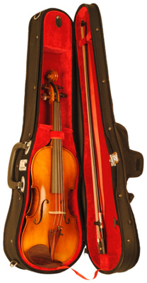Karl HÃ¶fner - Allegro 4/4 Violin Outfit