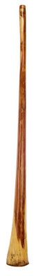 Thomann - Didgeridoo Eucalyp. Proline E