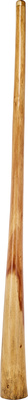 Thomann - Didgeridoo Eucalyp. Proline D