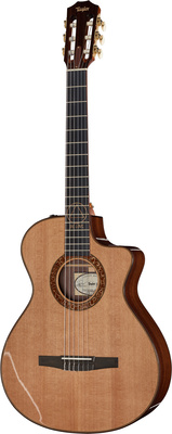 Taylor - Jason Mraz Signature