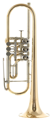 Peter Oberrauch - Venezia Trumpet Bb 11,05 Raw