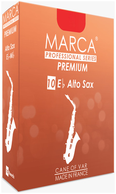 Marca - Premium Alto Saxophone 2.0