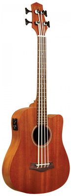 Gold Tone - Micro Bass 23 w/Bag