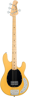 Sterling by Music Man - Sting Ray Classic 24 BSC