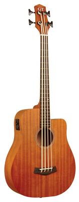 Gold Tone - Micro Bass 25 w/Bag