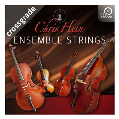 Best Service - Chris Hein Ensemble Strings CG