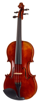 Franz Sandner - Meisterwerk Guarneri Vn 4/4 Franz Sandner - Meisterwerk Guarneri Vn 4/4