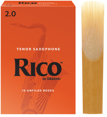DAddario Woodwinds - Rico Baritone Saxophone 2.0