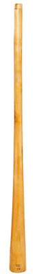 Thomann - Didgeridoo Eucalyp. Proline C#