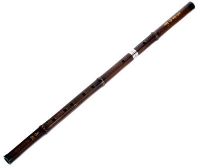Artino - Chinese QuDi Pro Flute C