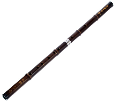 Artino - Chinese QuDi Pro Flute D