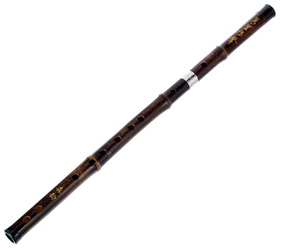 Artino - Chinese QuDi Pro Flute E