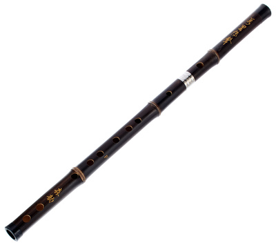Artino - Chinese QuDi Pro Flute F