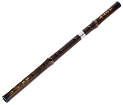 Artino - Chinese QuDi Pro Flute G