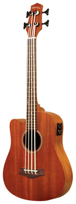 Gold Tone - Micro Bass 23 w/Bag LH Gold Tone - Micro Bass 23 w/Bag LH