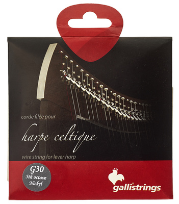 Galli Strings - Lever Harp Bass Wire G30