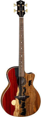 Luna Guitars - Vista Bear Bass A/E