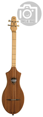 Seagull - M4 Mahogany EQ Seagull - M4 Mahogany EQ