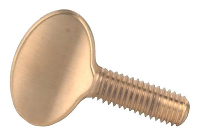 Gewa - Replacement Screw for 414648