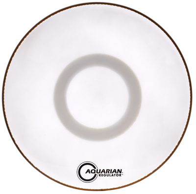 Aquarian - '22'' Regulator White w/o hole'