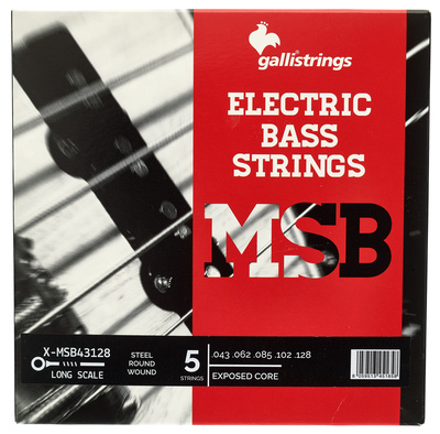 Galli Strings - ECS5 Exposed Core Bass Str.