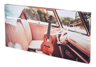 t.akustik - Print Panel Driving Uke