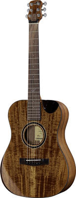 Journey Instruments - OF882C Acacia Acoustic