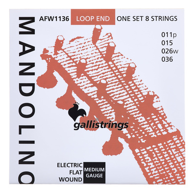 Galli Strings - AFW1136 Mandolin Str. Medium