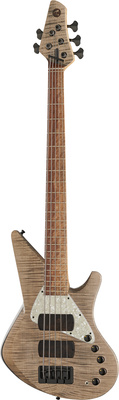 Torillo - Onyx 5 Gray Maple