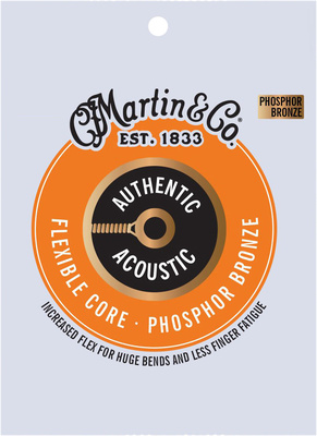 Martin Guitars - MA-550FX Flexible Core