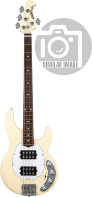 Music Man - Stingray 5 HH Special BC