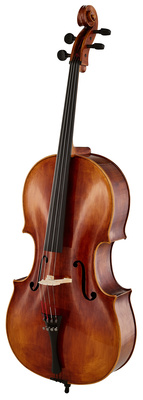 Bernd Hiller & Sohn - Master Cello Montagnana 4/4