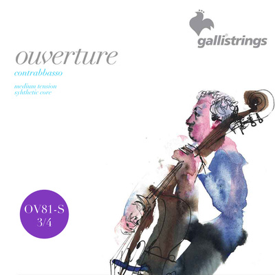 Galli Strings - OV81-S 3/4 Double Bass Strings