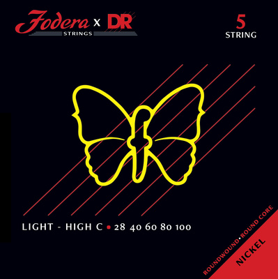 Fodera - x DR 5-String High C Light N