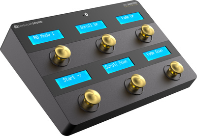 Singular Sound - Midi Maestro GE Controller