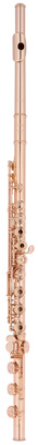Altus - AS-1607 ERB 18K GP Flute
