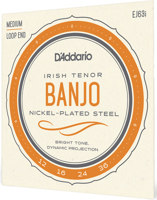 Daddario - EJ63i Irish Tenor Banjo Set