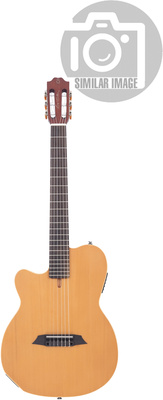 Larry Carlton - G5N Natural LH