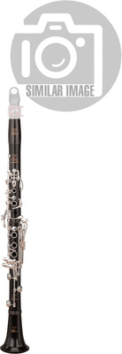 RZ Clarinets - Conservatory Bb-Clarinet 17/6