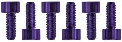 Floyd Rose - Saddle Mounting Screws Purple