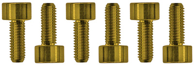 Floyd Rose - Saddle Mounting Screws Gold